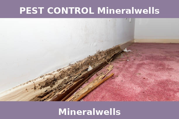 PEST CONTROL Mineralwells